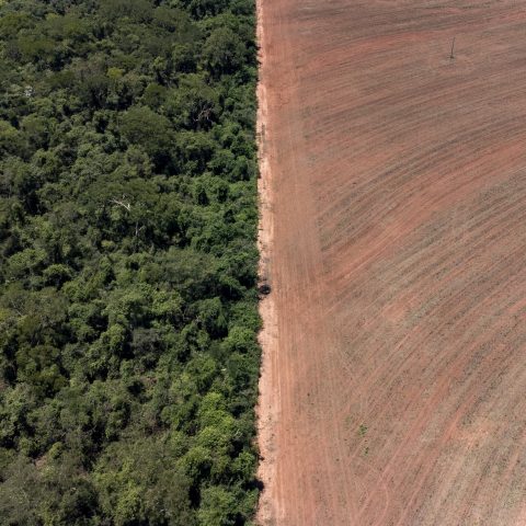 Crise climática e ambiental é ignorada nos planos de governo de quase todos candidatos ao Planalto, aponta Observatório