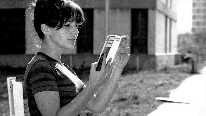 Crítica de livro: com ensaios e autobiografia, 'Não entender', de Beatriz Sarlo, mostra como encarar o desconhecido