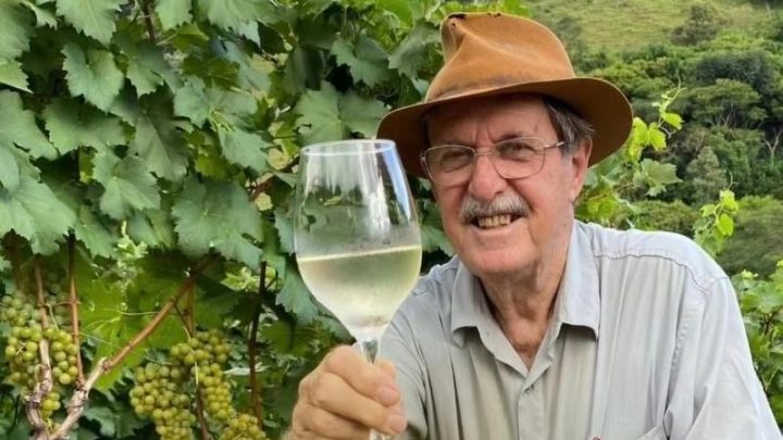 Cultivo de uvas sem defensivo ganha espaço em Minas Gerais