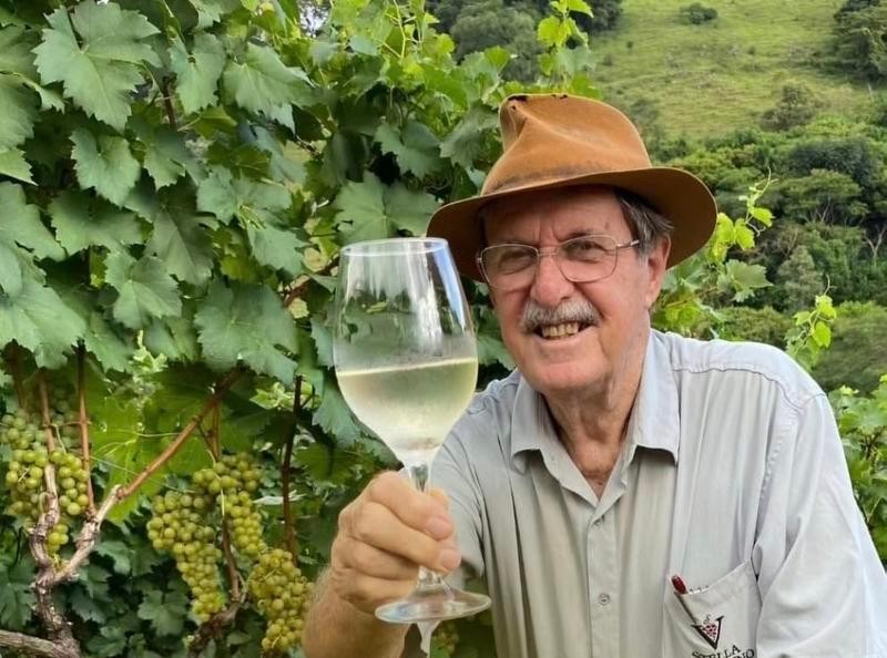 Cultivo de uvas sem defensivo ganha espaço em Minas Gerais