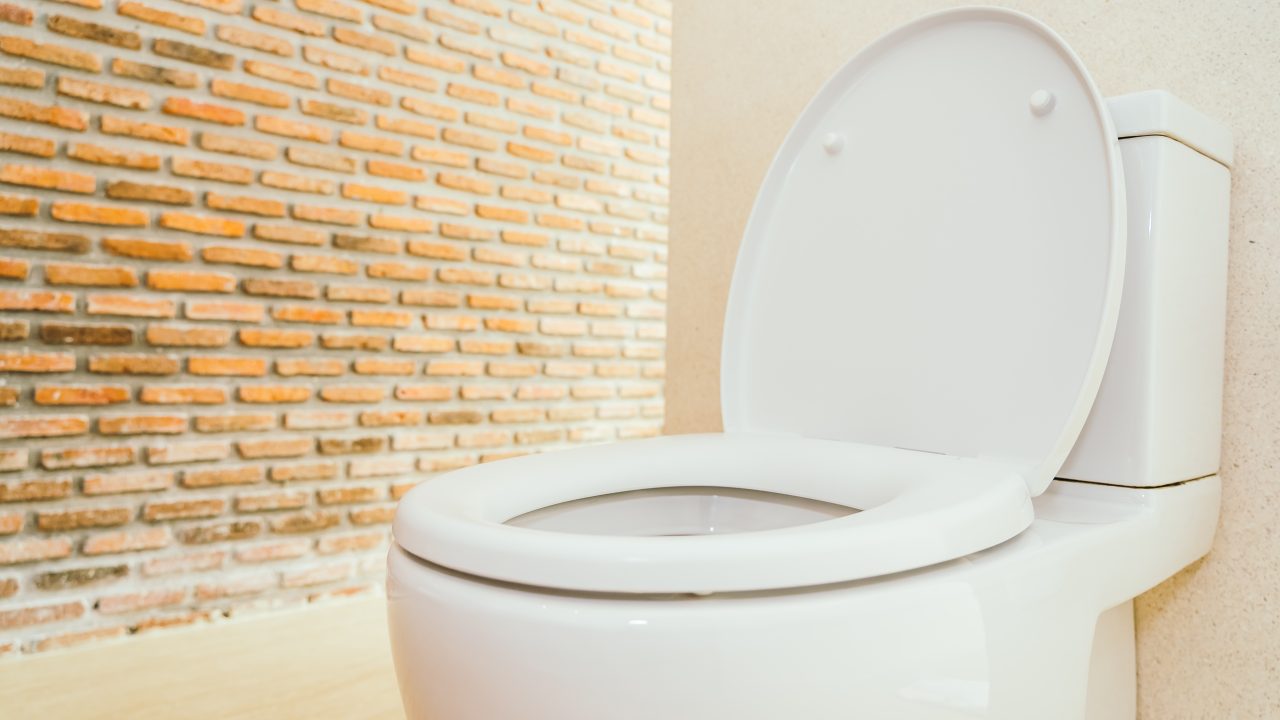 Dar descarga no vaso sanitário pode liberar uma nuvem de vírus e bactérias inaláveis (mesmo com a tampa fechada)