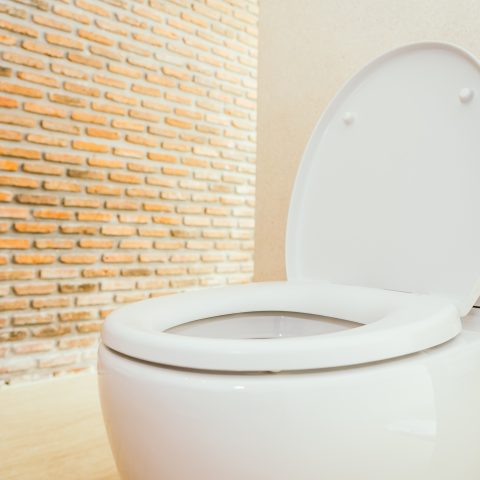 Dar descarga no vaso sanitário pode liberar uma nuvem de vírus e bactérias inaláveis (mesmo com a tampa fechada)