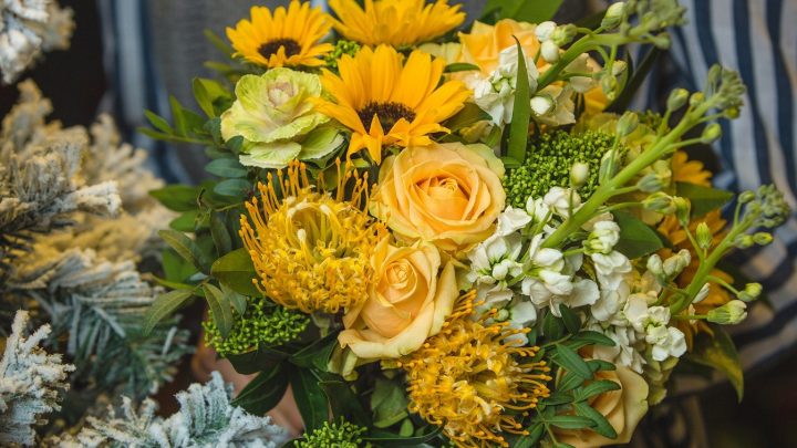 Dia 21 de Setembro marca tradição de se dar flores amarelas na América Latina para chegada da primavera; entenda