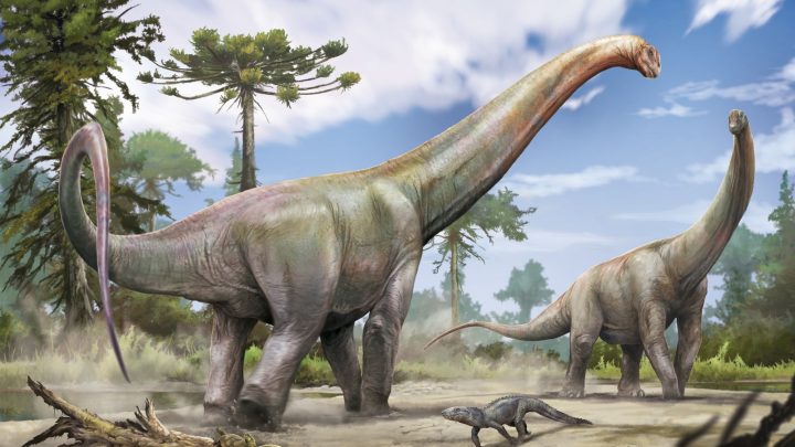 Dinossauro de 100 milhões de anos descoberto no Maranhão está entre os maiores já encontrados no Brasil; conheça a espécie