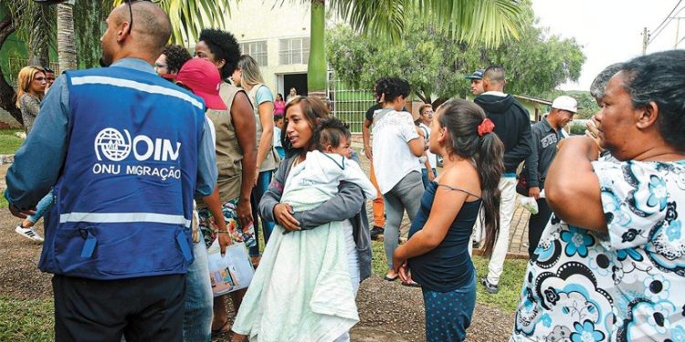 Do agro à migração: SC, MT e RR destoam da desaceleração demográfica do país, que deve perder população a partir de 2042