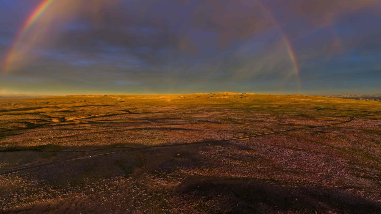 Entre os lugares mais áridos da Terra, Deserto do Atacama floresce após chuvas intensas provocadas pelo El Niño
