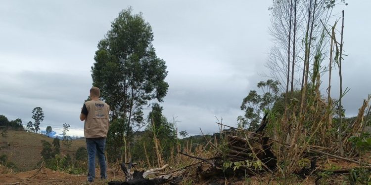 Estado realiza operação contra o desmatamento na Mata Atlântica em 64 municípios e aplica R$ 800 mil em multas