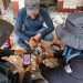 Explosivos não detonados causam mortes e ferimentos a cada seis horas na Síria