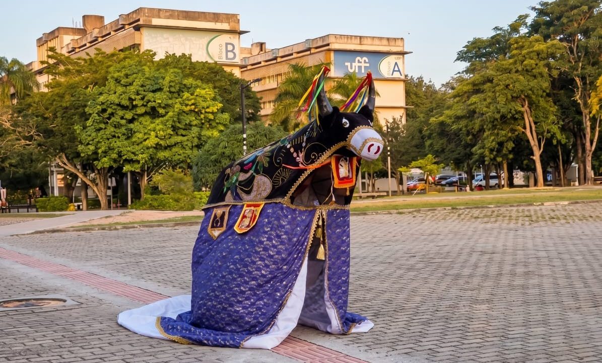 Festival na UFF reúne shows, exposições, cortejos e encontros com mestres da cultura popular