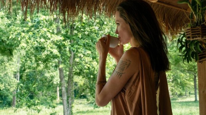 Isolada no meio da floresta: como é a fazenda de Angelina Jolie, cercada por mata preservada no Camboja