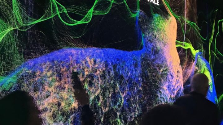 Marília Mendonça e Xingu, as onças de Carajás, estão fazendo sucesso no Rock in Rio