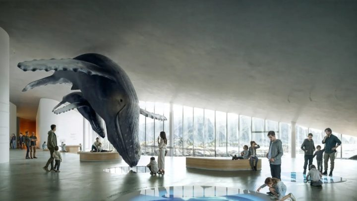 Noruega vai inaugurar The Whale, museu dedicado às baleias