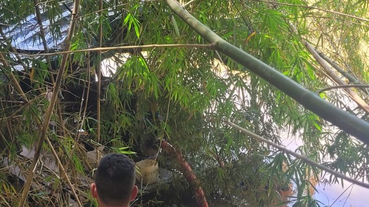 PF localiza três balsas usadas para extração ilegal de ouro no Rio Muriaé, no Norte Fluminense