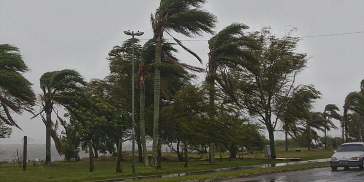 Passagem de frente fria provoca ventos de até 70 km/h no Sul e chuvas no RJ e MG; veja previsão desta quarta