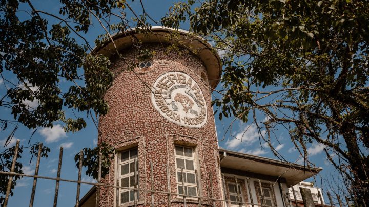 Pesquisa em herbário de SC descobre seis espécies de plantas
