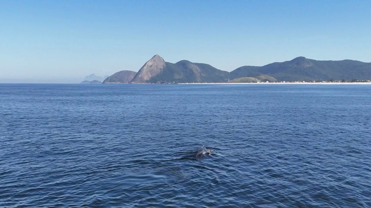Pesquisadores investigam destroços de navios negreiros nas Ilhas Maricás