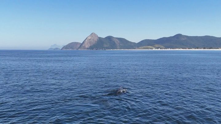 Pesquisadores investigam destroços de navios negreiros nas Ilhas Maricás