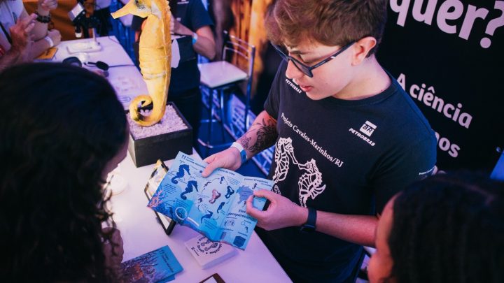 Público do Rio Ocean Week, aberto nesta quinta no Museu do Amanhã, conhecerá dinâmicas de proteção a cavalos-marinhos