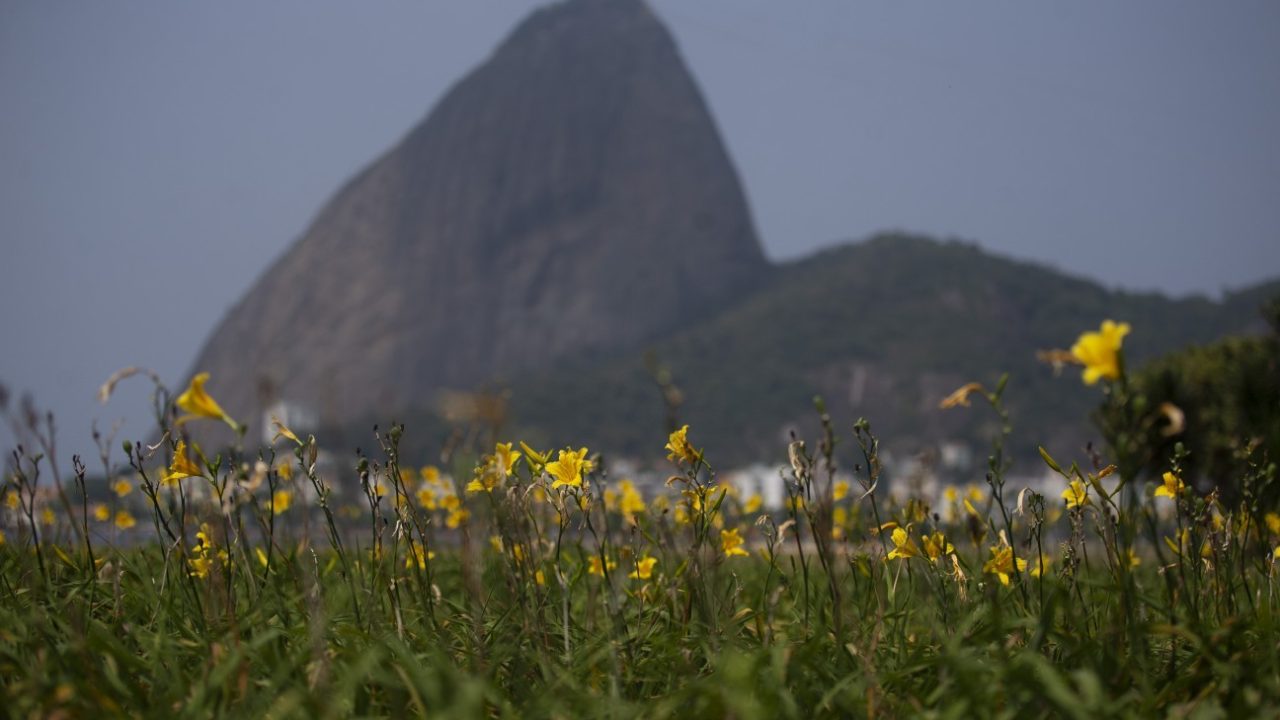 Quando termina o inverno e começa a primavera?