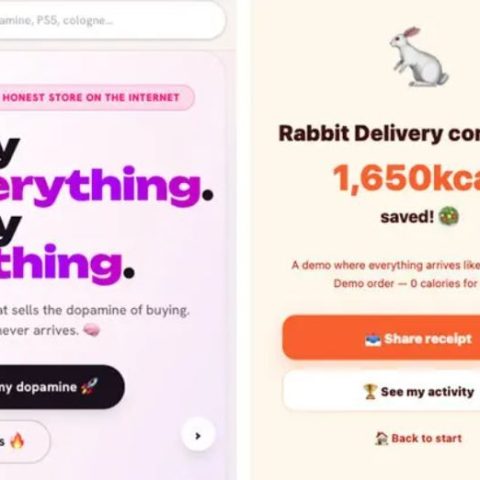 Quer comprar sem gastar? Sites de dopamina simulam o consumo e fazem sucesso na web