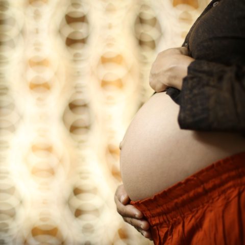 R$ 230 mil por gestação: como funciona a barriga de aluguel nos EUA, onde futuros pais podem contratar várias gestantes sem limite