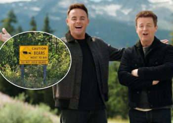 Reality na natureza entra em quarentena no Canadá após ataque de urso perto do acampamento