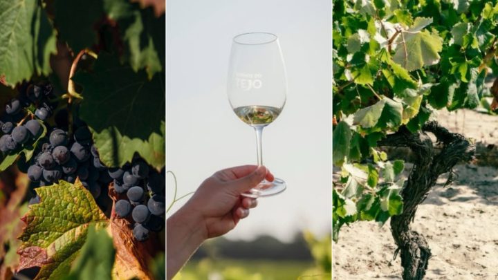 Rio terá jantar harmonizado e masterclass com vinhos do Tejo; saiba mais