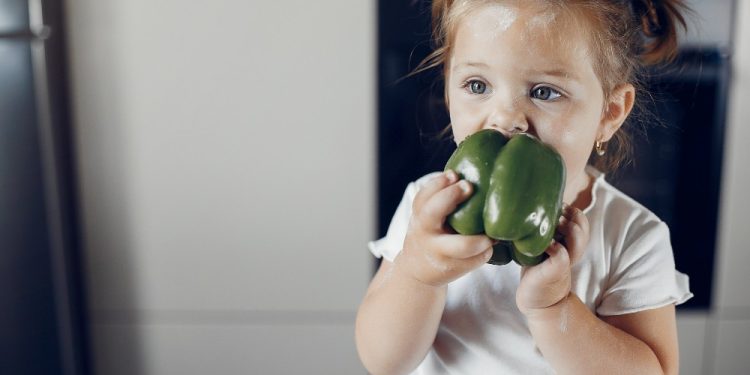 Seu filho não come verduras? Veja hábitos que podem ajudar a mudar essa relação com a comida
