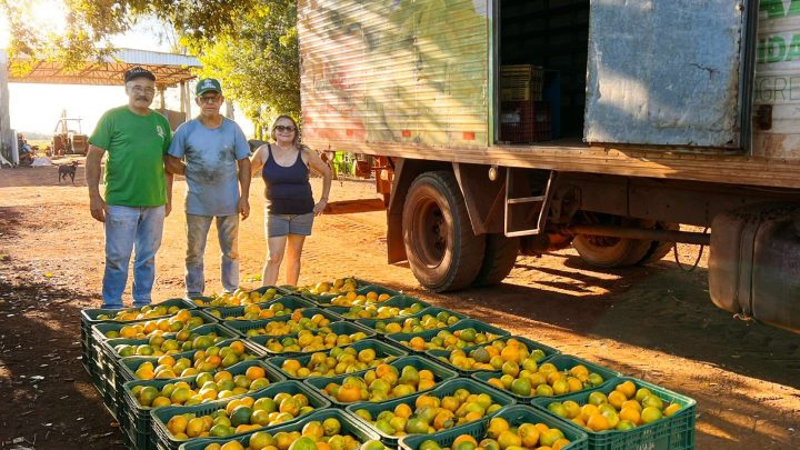 Sidrolândia lidera CeasaMS com a força do pequeno agricultor