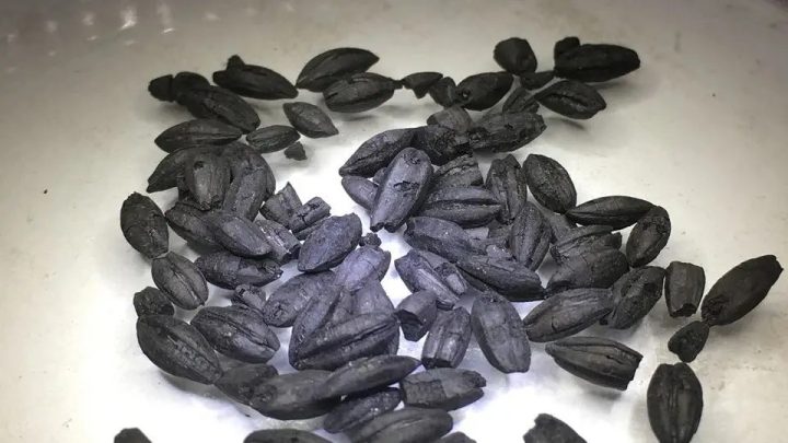 Síria já tinha culinária sofisticada há 4.500 anos, revela estudo