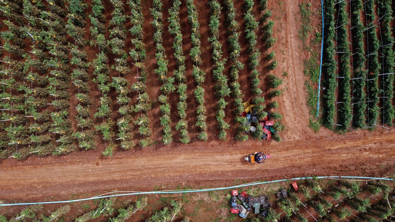 Sonho de metal: no interior do Rio, motos se multiplicam e são essenciais até na lavoura e nos pastos