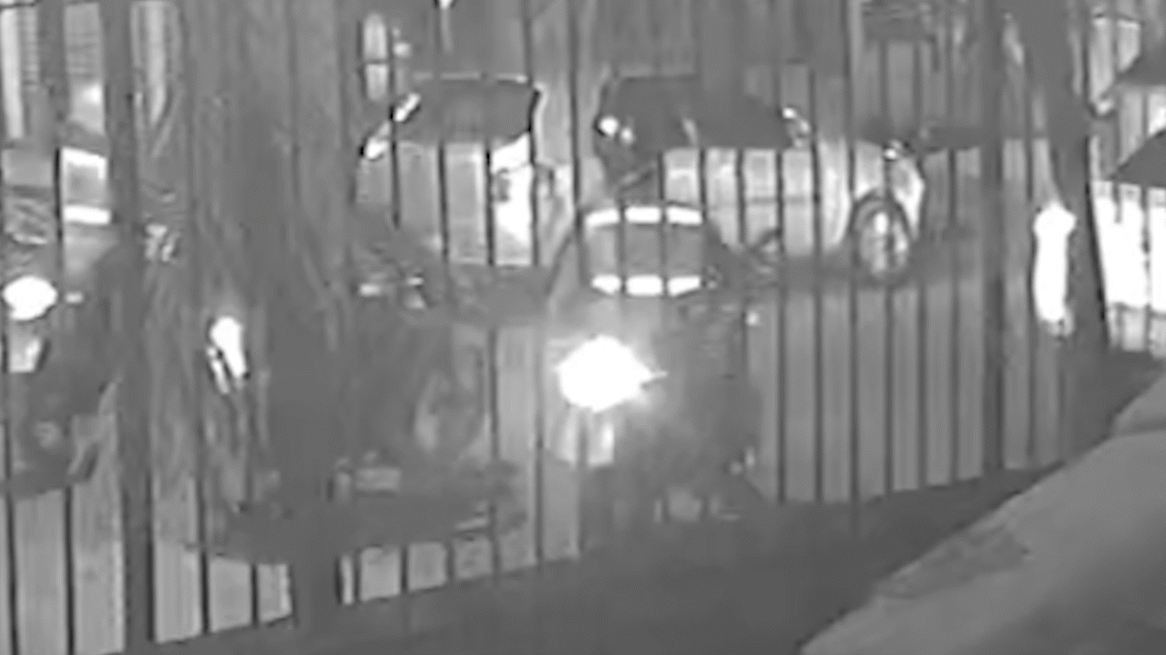 Spray de pimenta e tiro à queima-roupa: veja vídeo da abordagem que terminou com motociclista baleado por PM em Niterói
