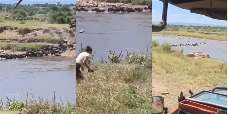 Turistas pulam de jipe descontrolado rumo a rio infestado de crocodilos na Tanzânia; veja vídeo