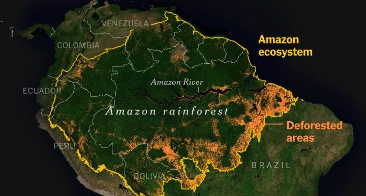 'Eleição no Brasil pode definir futuro da Amazônia', diz The New York Times; entenda posição do jornal