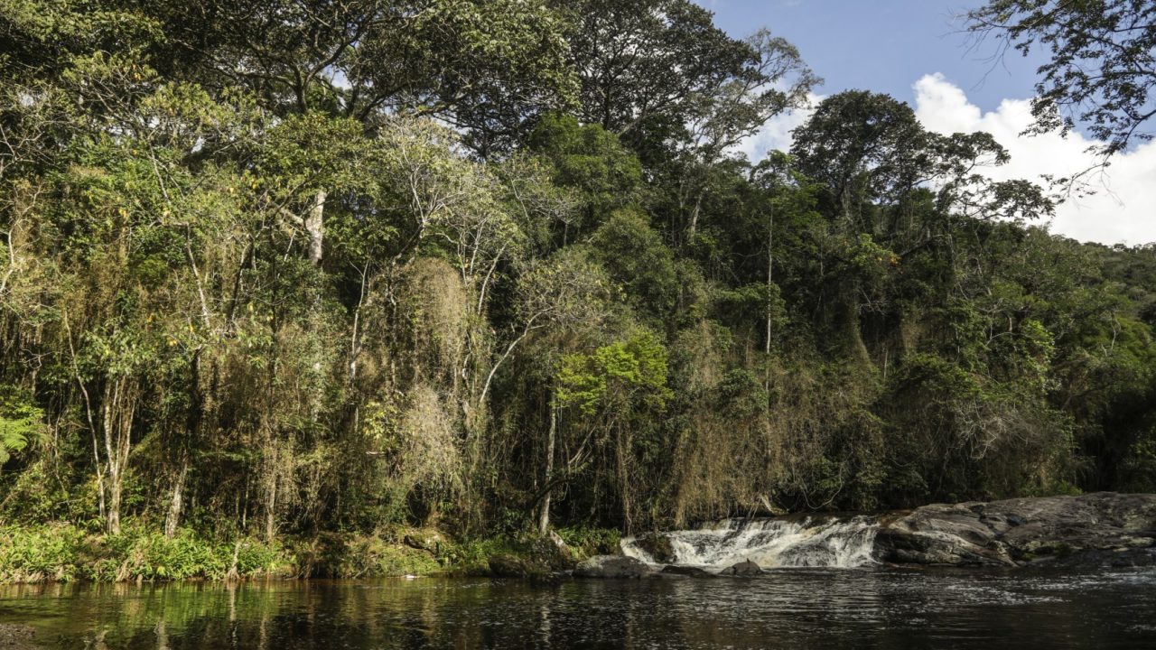BNDES aprova R$ 250 milhões para recuperar áreas degradadas no Norte do Rio