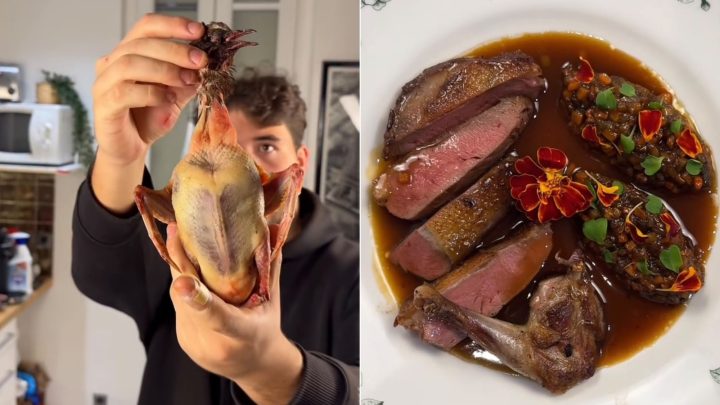 Chef brasileiro em Paris faz prato com carne de pombo e resultado surpreende; veja o vídeo