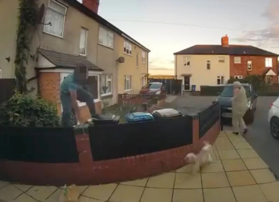 Entregador se assusta com cachorros e sobe em lixeiras para escapar na Inglaterra; vídeo viraliza