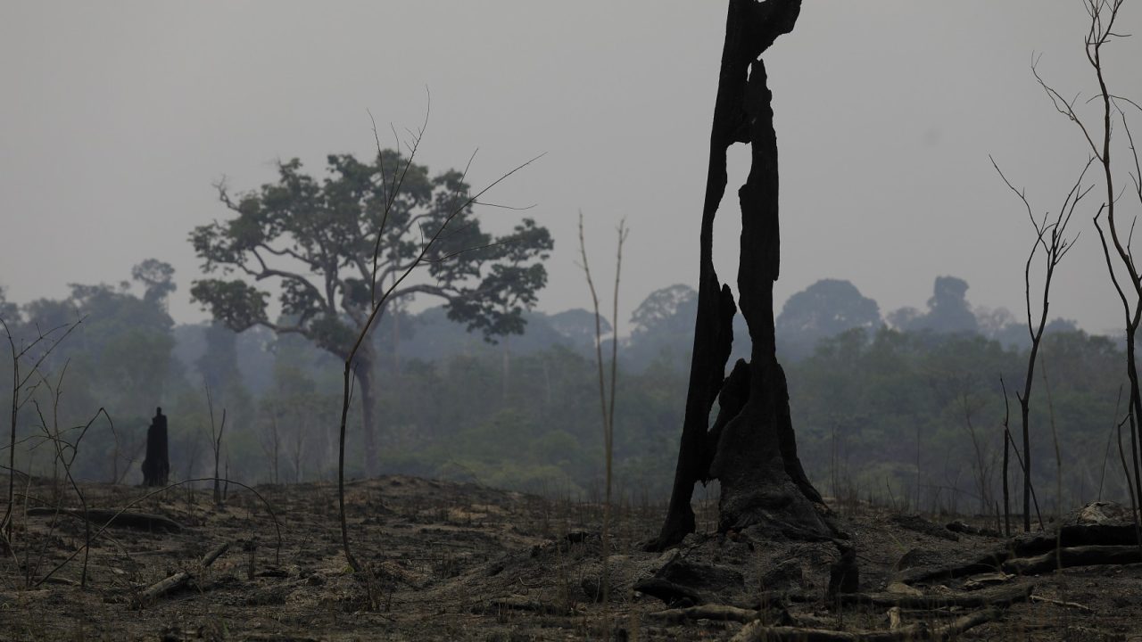 Ministério do Meio Ambiente afirma que governo do Amazonas pediu ajuda federal para comabte ao fogo, mas desistiu