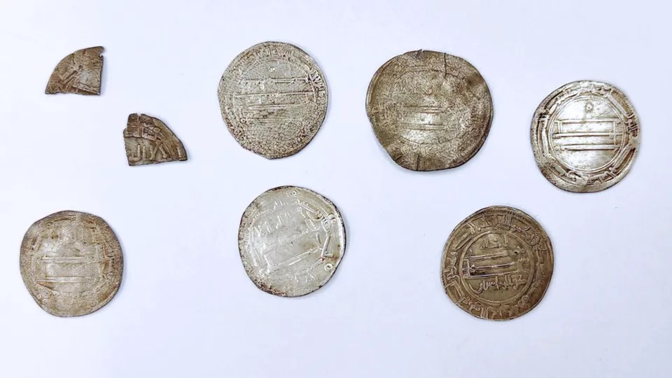 Moedas árabes de 1200 anos são encontradas em floresta na Polônia perto de antigo porto viking