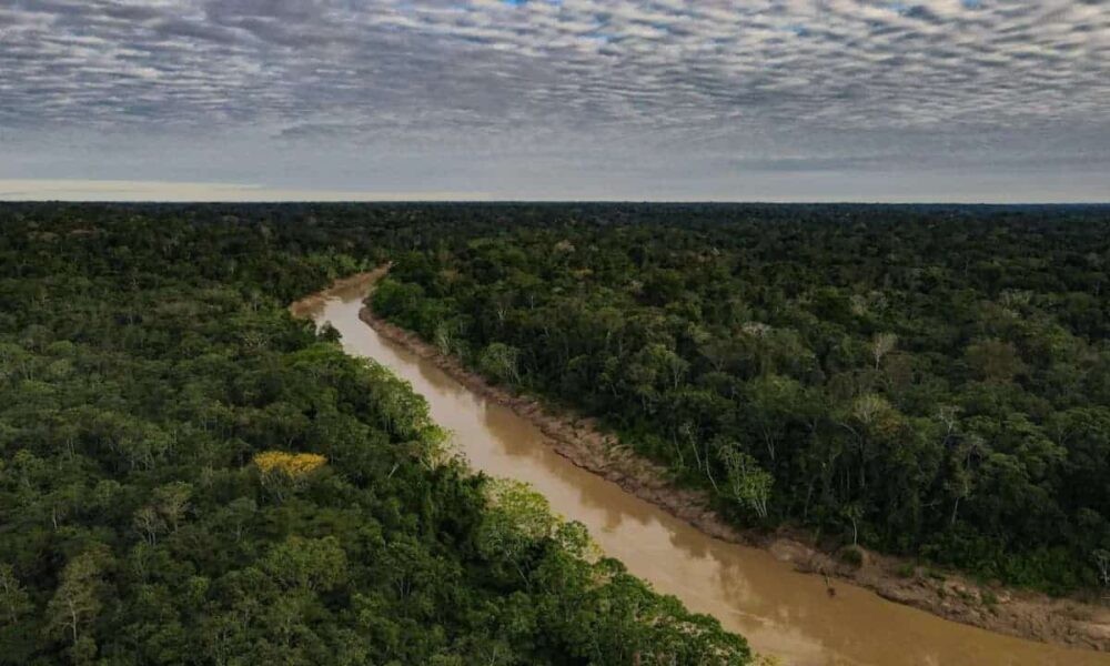 Mudanças climáticas, desemprego e retrocesso na democracia estão entre maiores temores dos brasileiros, diz pesquisa
