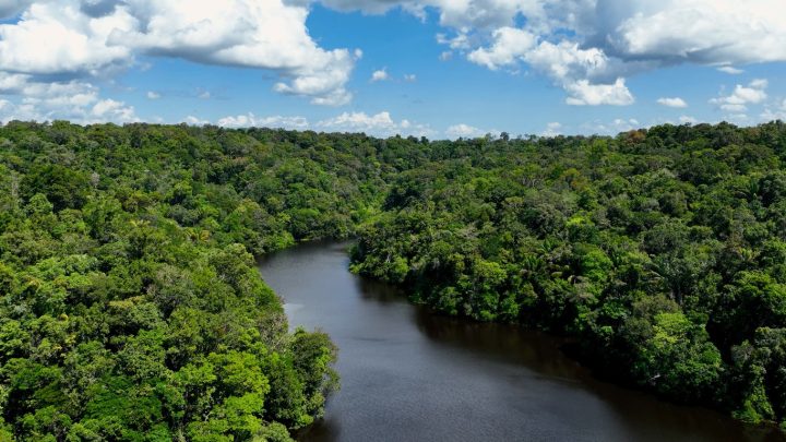 Queda de desmatamento na Amazônia e no Cerrado rendeu até R$ 192 bilhões para a economia brasileira, estima FGV