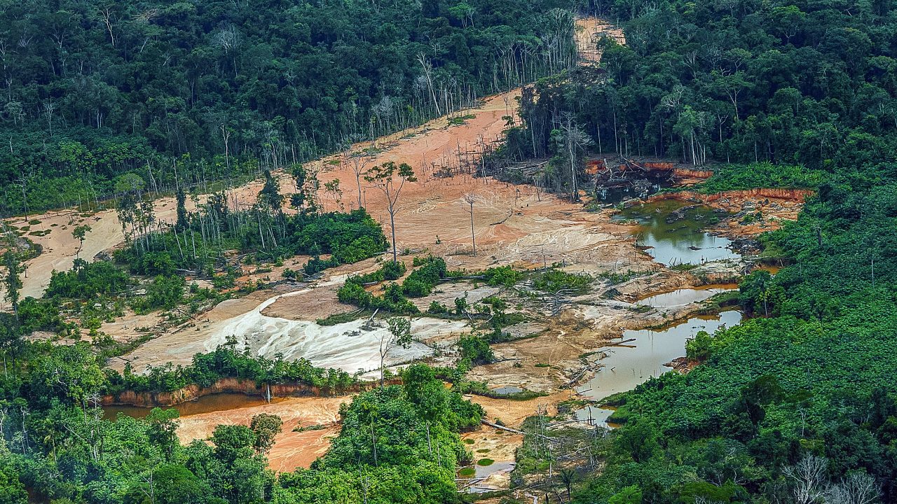 Quem são e quais os argumentos dos 19 candidatos ao Senado da Amazônia favoráveis ao garimpo em Terras Indígenas