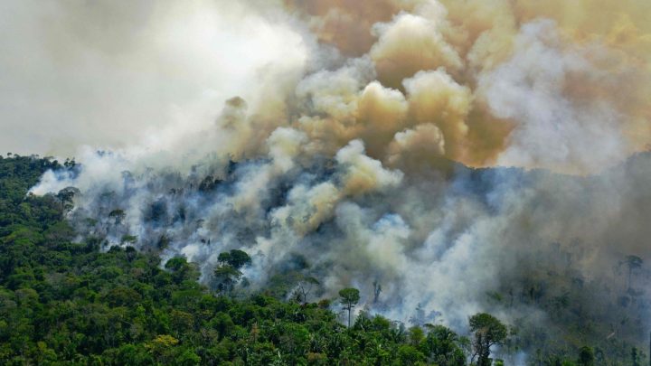 Sete em cada dez parlamentares do novo Congresso se posicionam contra a agenda ambiental, mostra análise do Observatório do Clima